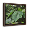 Rainforest Trails & Views - Gallery Canvas Wraps, Horizontal Frame - El Yunque National Forest - Puerto Rico - Rio Sabana trail - one of 250 plant species of l Yunque - Green Forest Home