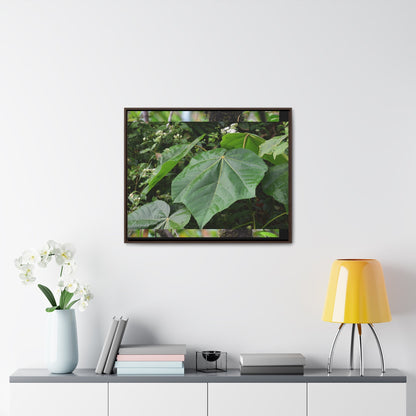 Rainforest Trails & Views - Gallery Canvas Wraps, Horizontal Frame - El Yunque National Forest - Puerto Rico - Rio Sabana trail - one of 250 plant species of l Yunque - Green Forest Home