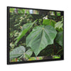 Rainforest Trails & Views - Gallery Canvas Wraps, Horizontal Frame - El Yunque National Forest - Puerto Rico - Rio Sabana trail - one of 250 plant species of l Yunque - Green Forest Home