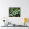 Rainforest Trails & Views - Gallery Canvas Wraps, Horizontal Frame - El Yunque National Forest - Puerto Rico - Rio Sabana trail - one of 250 plant species of l Yunque - Green Forest Home