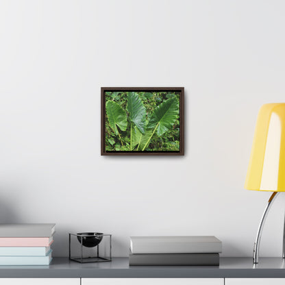 Rainforest Trails & Views - Gallery Canvas Wraps, Horizontal Frame - El Yunque National Forest - Puerto Rico - Rio Sabana trail - one of 250 plant species of l Yunque - Green Forest Home