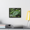 Rainforest Trails & Views - Gallery Canvas Wraps, Horizontal Frame - El Yunque National Forest - Puerto Rico - Rio Sabana trail - one of 250 plant species of l Yunque - Green Forest Home
