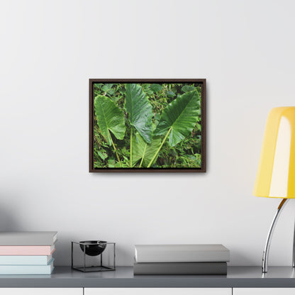 Rainforest Trails & Views - Gallery Canvas Wraps, Horizontal Frame - El Yunque National Forest - Puerto Rico - Rio Sabana trail - one of 250 plant species of l Yunque - Green Forest Home