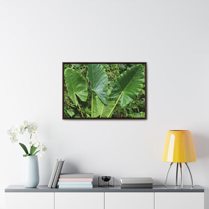 Rainforest Trails & Views - Gallery Canvas Wraps, Horizontal Frame - El Yunque National Forest - Puerto Rico - Rio Sabana trail - one of 250 plant species of l Yunque - Green Forest Home