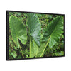 Rainforest Trails & Views - Gallery Canvas Wraps, Horizontal Frame - El Yunque National Forest - Puerto Rico - Rio Sabana trail - one of 250 plant species of l Yunque - Green Forest Home