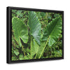 Rainforest Trails & Views - Gallery Canvas Wraps, Horizontal Frame - El Yunque National Forest - Puerto Rico - Rio Sabana trail - one of 250 plant species of l Yunque - Green Forest Home
