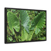 Rainforest Trails & Views - Gallery Canvas Wraps, Horizontal Frame - El Yunque National Forest - Puerto Rico - Rio Sabana trail - one of 250 plant species of l Yunque - Green Forest Home