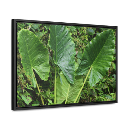 Rainforest Trails & Views - Gallery Canvas Wraps, Horizontal Frame - El Yunque National Forest - Puerto Rico - Rio Sabana trail - one of 250 plant species of l Yunque - Green Forest Home