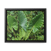Rainforest Trails & Views - Gallery Canvas Wraps, Horizontal Frame - El Yunque National Forest - Puerto Rico - Rio Sabana trail - one of 250 plant species of l Yunque - Green Forest Home