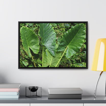Rainforest Trails & Views - Gallery Canvas Wraps, Horizontal Frame - El Yunque National Forest - Puerto Rico - Rio Sabana trail - one of 250 plant species of l Yunque - Green Forest Home