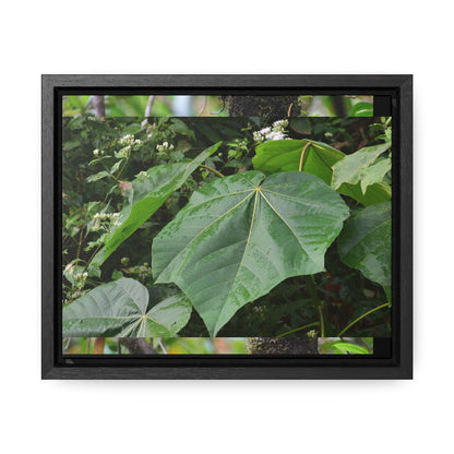 Rainforest Trails & Views - Gallery Canvas Wraps, Horizontal Frame - El Yunque National Forest - Puerto Rico - Rio Sabana trail - one of 250 plant species of l Yunque - Green Forest Home