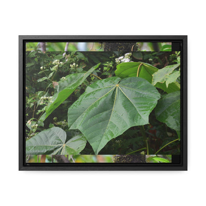 Rainforest Trails & Views - Gallery Canvas Wraps, Horizontal Frame - El Yunque National Forest - Puerto Rico - Rio Sabana trail - one of 250 plant species of l Yunque - Green Forest Home