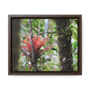 Rainforest Trails & Views - Gallery Canvas Wraps, Horizontal Frame - El Yunque National Forest - Puerto Rico - Rio Sabana trail - rare RED bromeliad - Green Forest Home