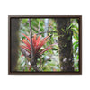 Rainforest Trails & Views - Gallery Canvas Wraps, Horizontal Frame - El Yunque National Forest - Puerto Rico - Rio Sabana trail - rare RED bromeliad - Green Forest Home