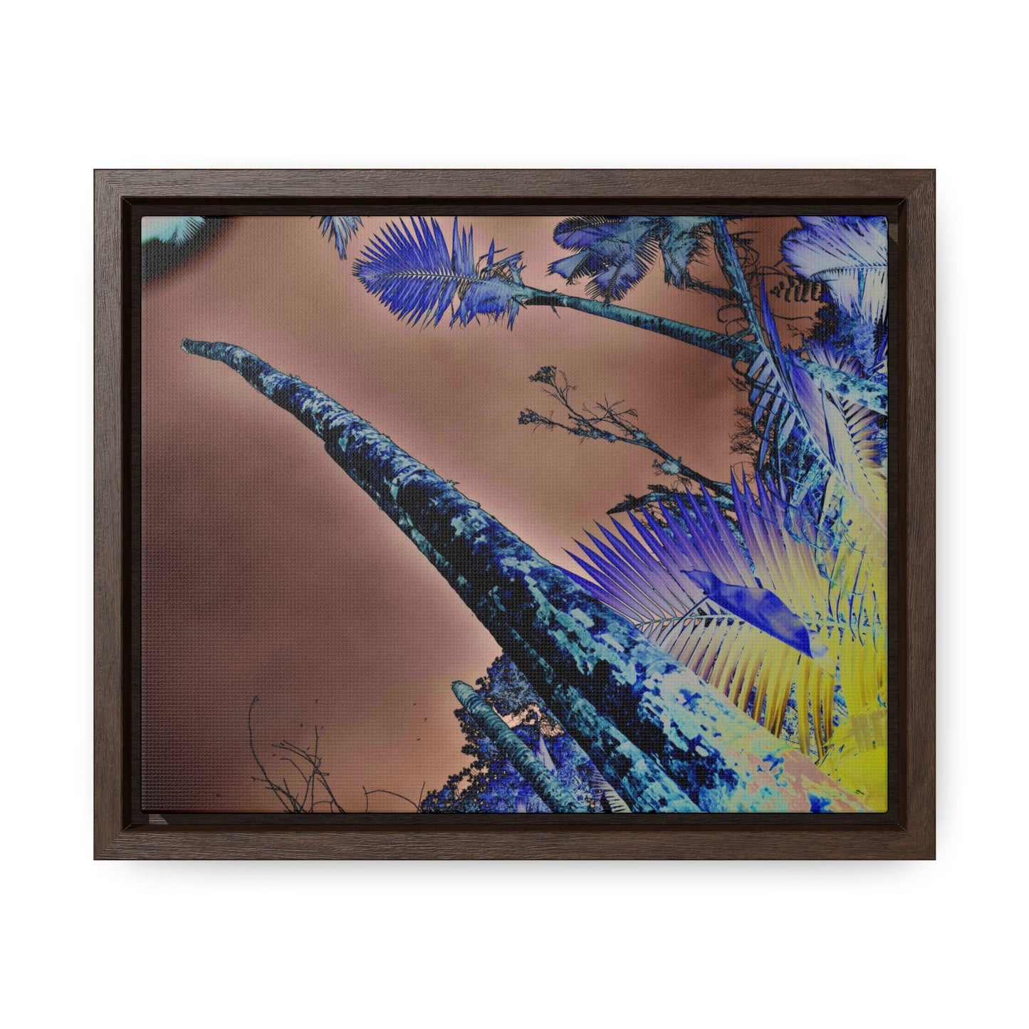 Rainforest Trails & Views - Gallery Canvas Wraps, Horizontal Frame - El Yunque National Forest - Puerto Rico - Rio Sabana Trail Sierra Palm destroyed by Maria - color enhanced - Green Forest Home
