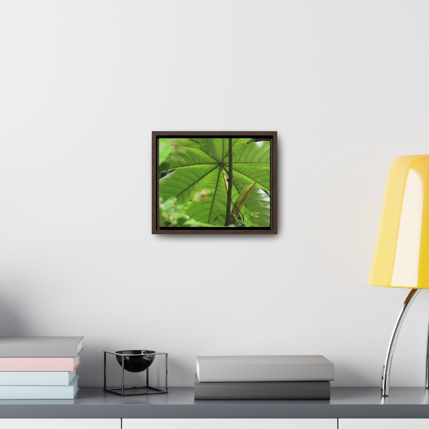 Rainforest Trails & Views - Gallery Canvas Wraps, Horizontal Frame - El Yunque National Forest - Puerto Rico - Rio Sabana trail - the amazing fast-growing Yagrumo Tree - Green Forest Home