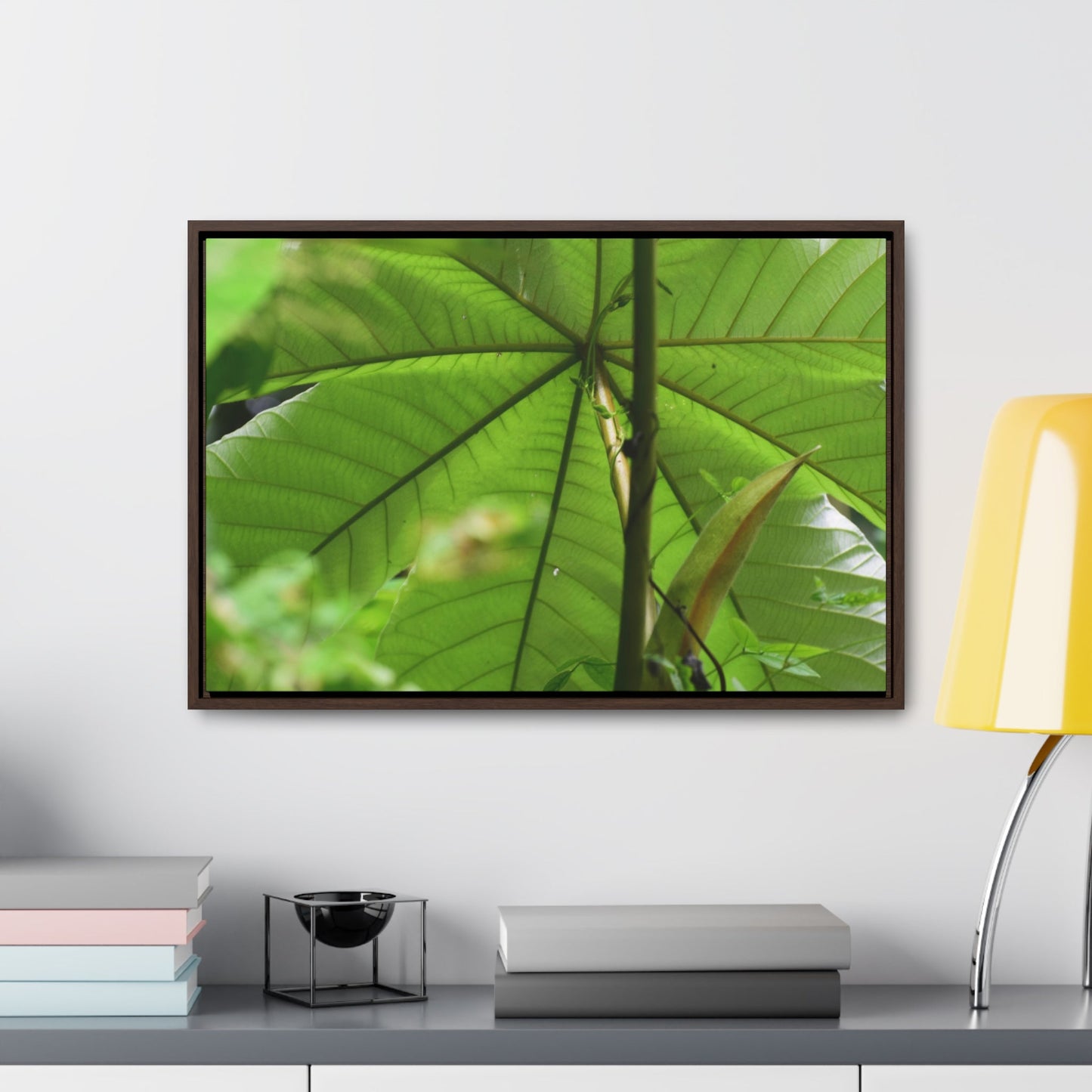 Rainforest Trails & Views - Gallery Canvas Wraps, Horizontal Frame - El Yunque National Forest - Puerto Rico - Rio Sabana trail - the amazing fast-growing Yagrumo Tree - Green Forest Home