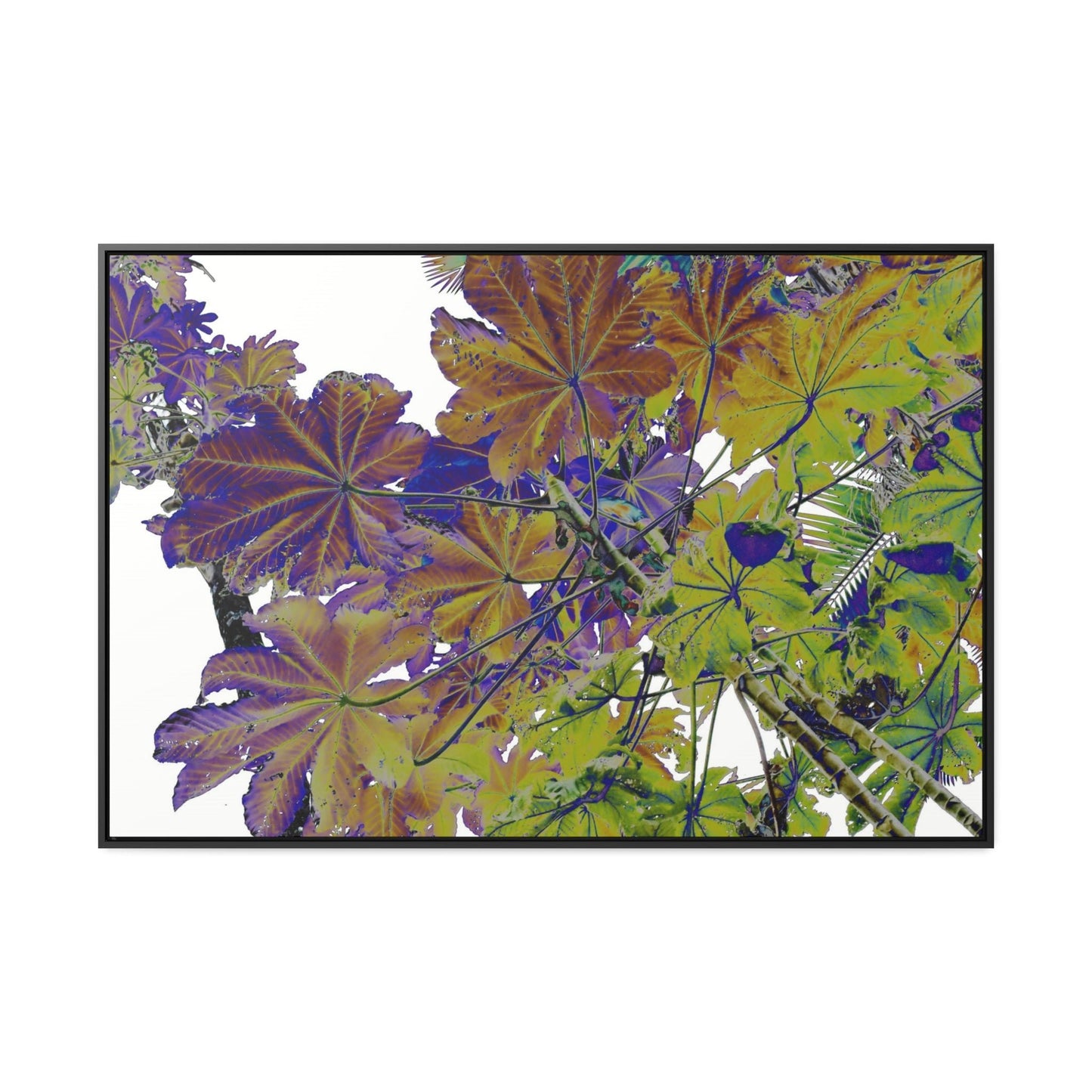 Rainforest Trails & Views - Gallery Canvas Wraps, Horizontal Frame - El Yunque National Forest - Puerto Rico - Rio Sabana Trail Yagrumo leaves - color enhanced - Green Forest Home