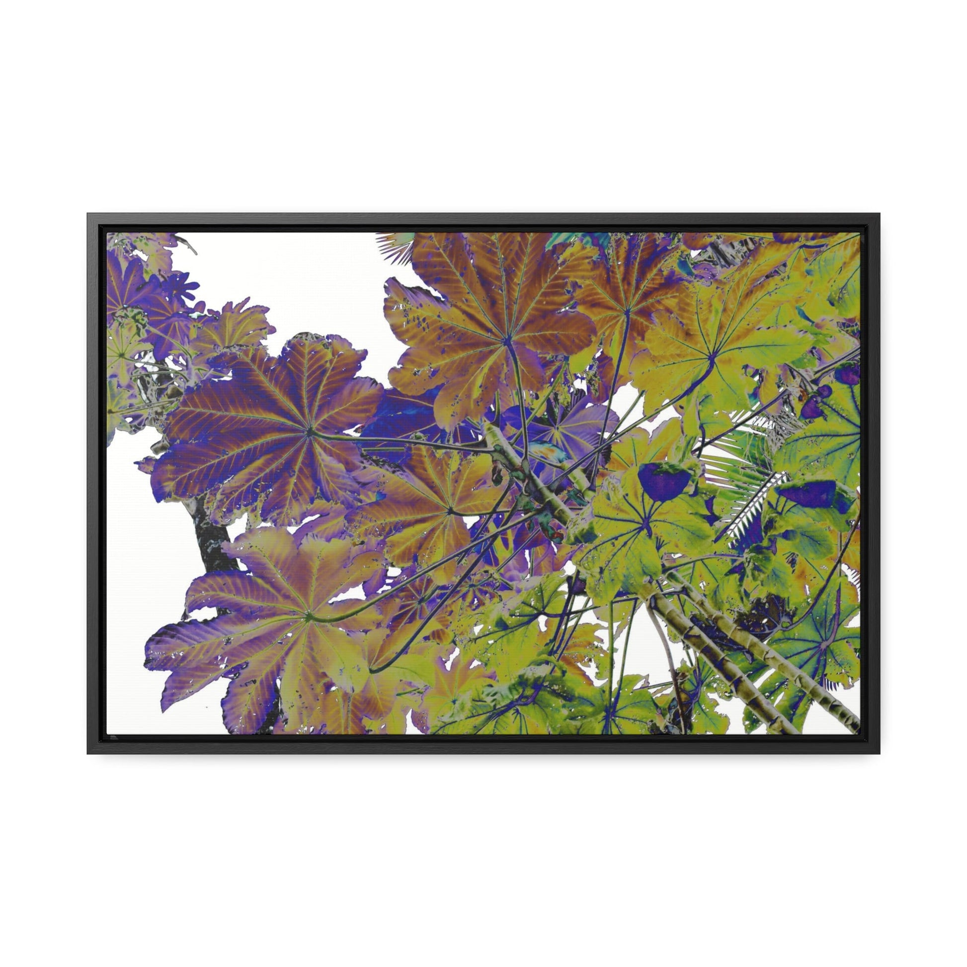Rainforest Trails & Views - Gallery Canvas Wraps, Horizontal Frame - El Yunque National Forest - Puerto Rico - Rio Sabana Trail Yagrumo leaves - color enhanced - Green Forest Home