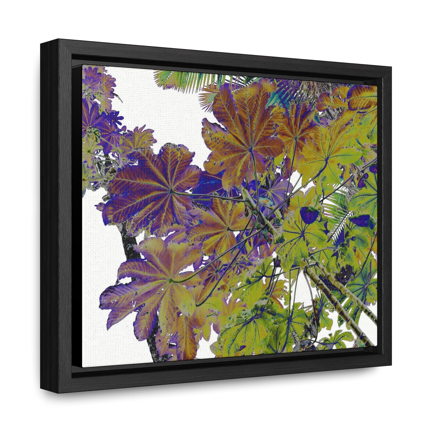 Rainforest Trails & Views - Gallery Canvas Wraps, Horizontal Frame - El Yunque National Forest - Puerto Rico - Rio Sabana Trail Yagrumo leaves - color enhanced - Green Forest Home