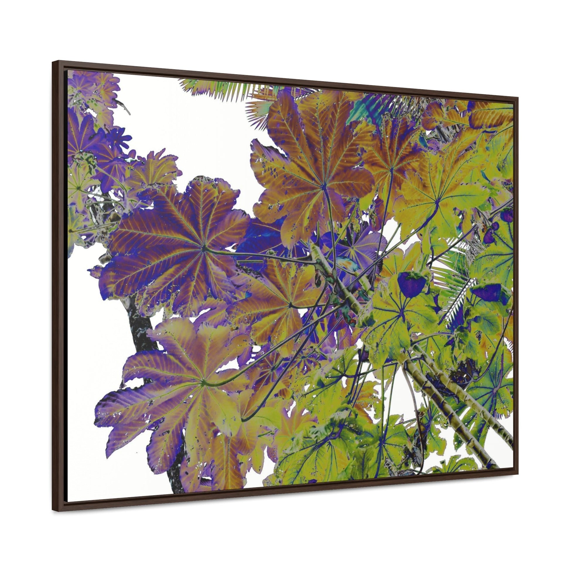 Rainforest Trails & Views - Gallery Canvas Wraps, Horizontal Frame - El Yunque National Forest - Puerto Rico - Rio Sabana Trail Yagrumo leaves - color enhanced - Green Forest Home