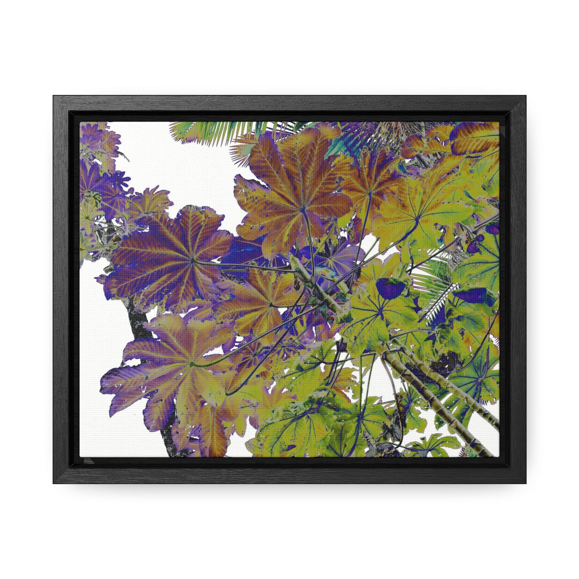 Rainforest Trails & Views - Gallery Canvas Wraps, Horizontal Frame - El Yunque National Forest - Puerto Rico - Rio Sabana Trail Yagrumo leaves - color enhanced - Green Forest Home