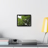 Rainforest Trails & Views - Gallery Canvas Wraps, Horizontal Frame - El Yunque National Forest - Puerto Rico - Rio Sabana Trail - Yagrumo Tree - Green Forest Home