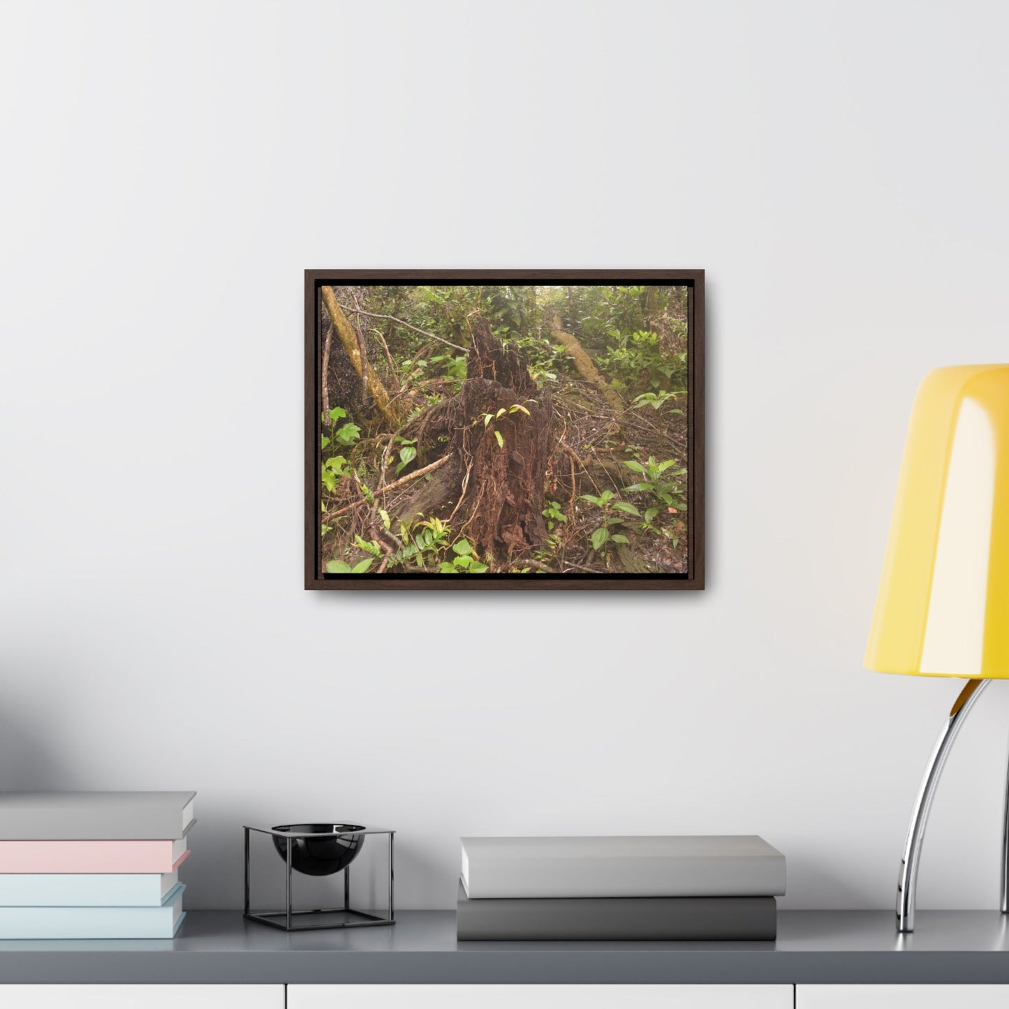 Rainforest Trails & Views - Gallery Canvas Wraps, Horizontal Frame - El Yunque National Forest - Puerto Rico - Rio Sabana Tree destroyed by Hurricane Maria - Green Forest Home