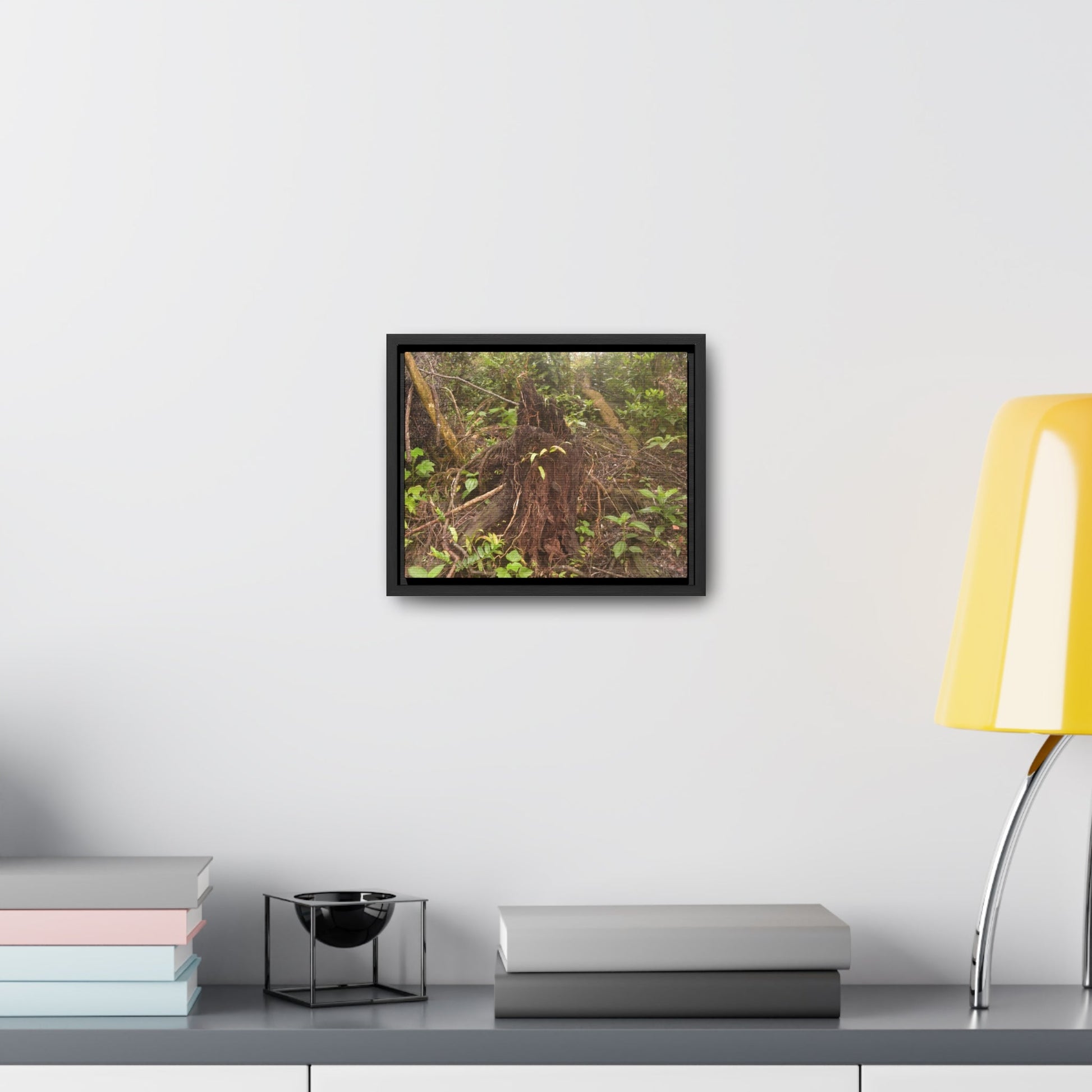 Rainforest Trails & Views - Gallery Canvas Wraps, Horizontal Frame - El Yunque National Forest - Puerto Rico - Rio Sabana Tree destroyed by Hurricane Maria - Green Forest Home