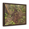 Rainforest Trails & Views - Gallery Canvas Wraps, Horizontal Frame - El Yunque National Forest - Puerto Rico - Rio Sabana Tree destroyed by Hurricane Maria - Green Forest Home
