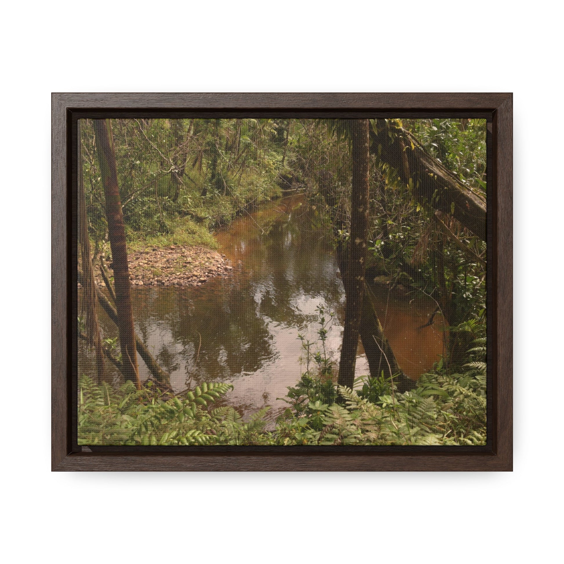 Rainforest Trails & Views - Gallery Canvas Wraps, Horizontal Frame - El Yunque National Forest - Puerto Rico - Rio Sabana upper winding river - Green Forest Home