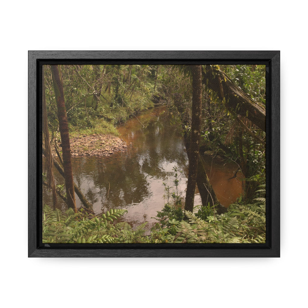 Rainforest Trails & Views - Gallery Canvas Wraps, Horizontal Frame - El Yunque National Forest - Puerto Rico - Rio Sabana upper winding river - Green Forest Home