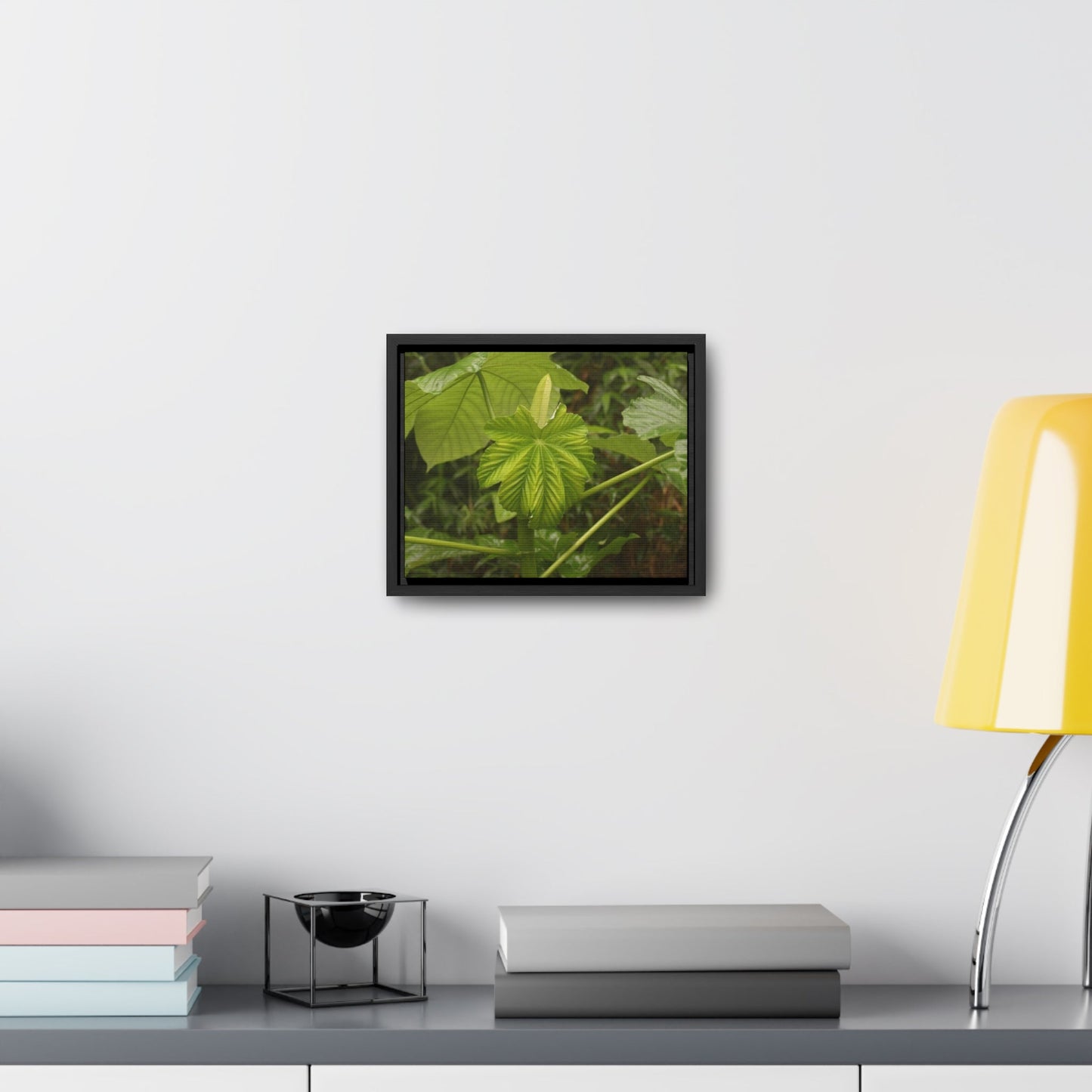 Rainforest Trails & Views - Gallery Canvas Wraps, Horizontal Frame - El Yunque National Forest - Puerto Rico - Rio Sabana - Yagrumo plant amazing colors - Green Forest Home