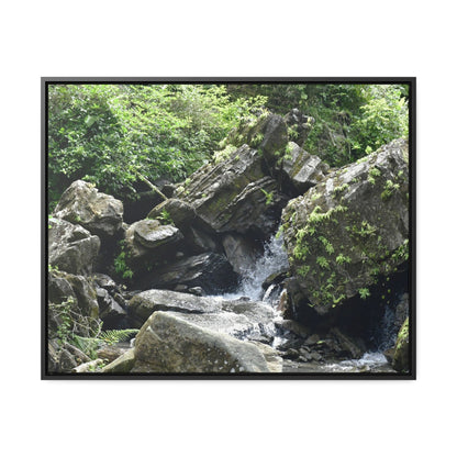 Rainforest Trails & Views - Gallery Canvas Wraps, Horizontal Frame - El Yunque National Forest - Puerto Rico - River near recreation area in El Yunque - Green Forest Home