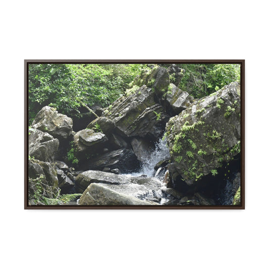 Rainforest Trails & Views - Gallery Canvas Wraps, Horizontal Frame - El Yunque National Forest - Puerto Rico - River near recreation area in El Yunque - Green Forest Home