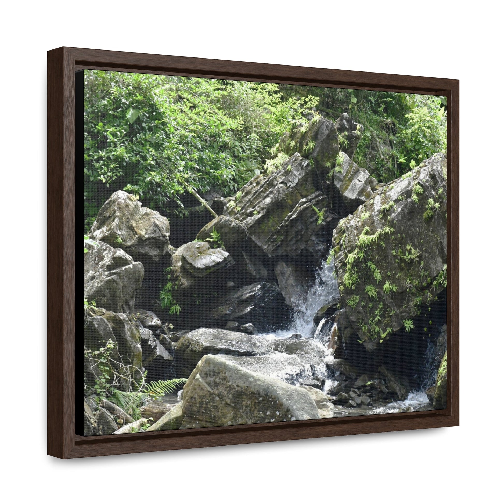 Rainforest Trails & Views - Gallery Canvas Wraps, Horizontal Frame - El Yunque National Forest - Puerto Rico - River near recreation area in El Yunque - Green Forest Home