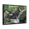 Rainforest Trails & Views - Gallery Canvas Wraps, Horizontal Frame - El Yunque National Forest - Puerto Rico - River near recreation area in El Yunque - Green Forest Home