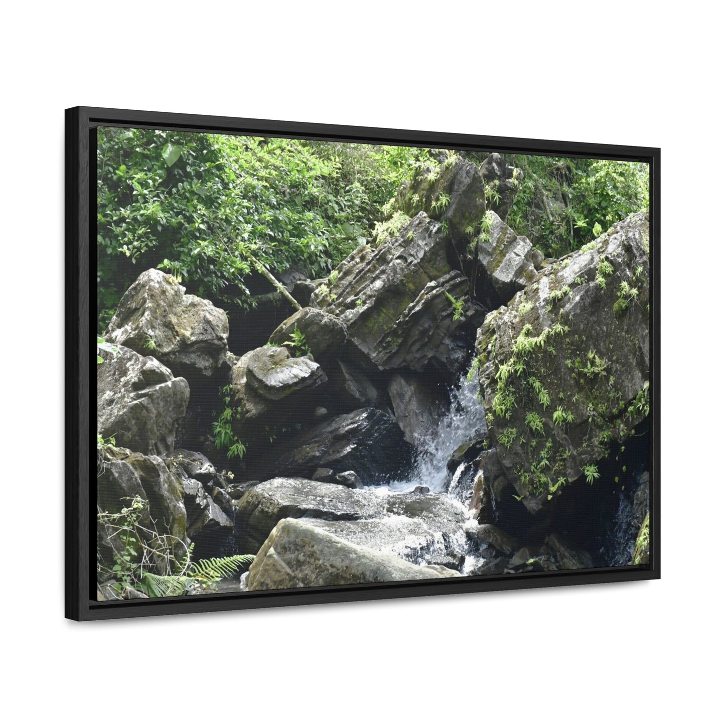 Rainforest Trails & Views - Gallery Canvas Wraps, Horizontal Frame - El Yunque National Forest - Puerto Rico - River near recreation area in El Yunque - Green Forest Home