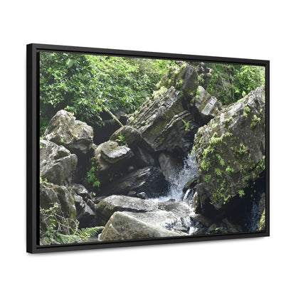 Rainforest Trails & Views - Gallery Canvas Wraps, Horizontal Frame - El Yunque National Forest - Puerto Rico - River near recreation area in El Yunque - Green Forest Home