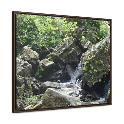 Rainforest Trails & Views - Gallery Canvas Wraps, Horizontal Frame - El Yunque National Forest - Puerto Rico - River near recreation area in El Yunque - Green Forest Home