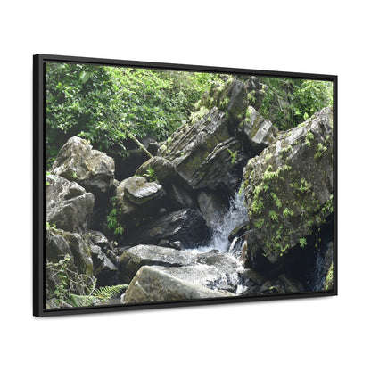 Rainforest Trails & Views - Gallery Canvas Wraps, Horizontal Frame - El Yunque National Forest - Puerto Rico - River near recreation area in El Yunque - Green Forest Home