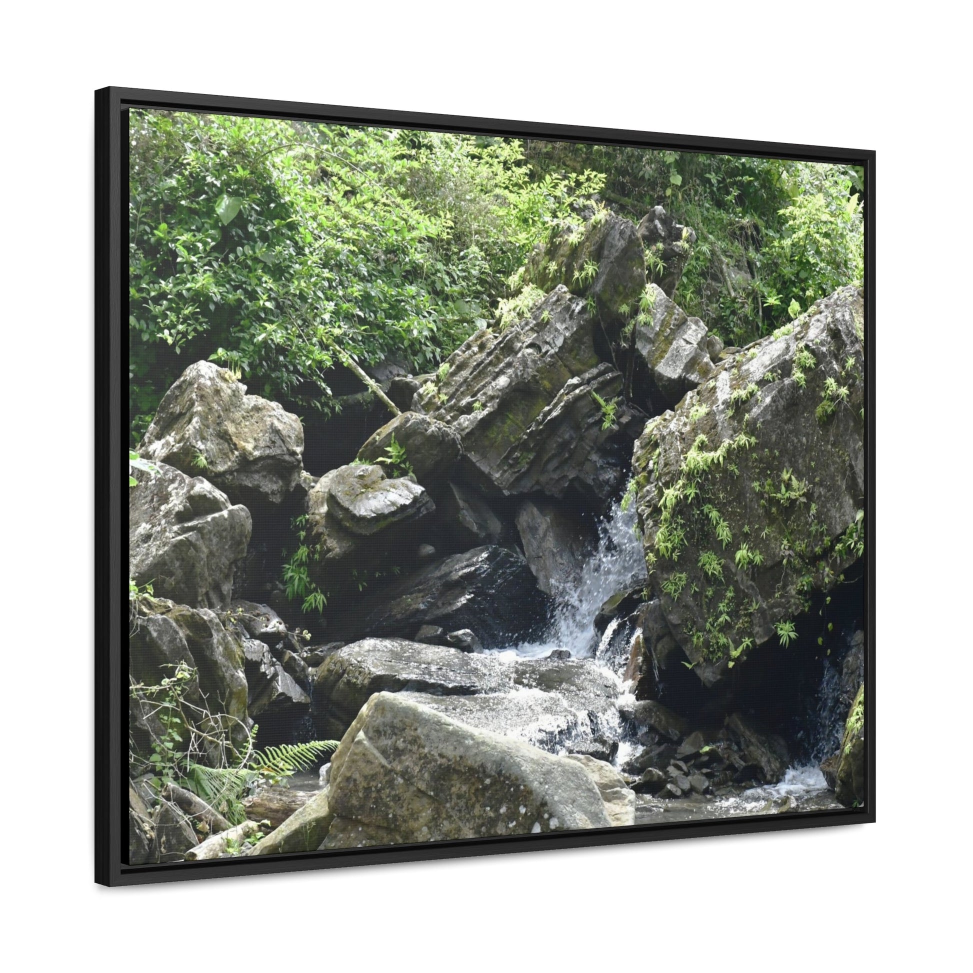 Rainforest Trails & Views - Gallery Canvas Wraps, Horizontal Frame - El Yunque National Forest - Puerto Rico - River near recreation area in El Yunque - Green Forest Home
