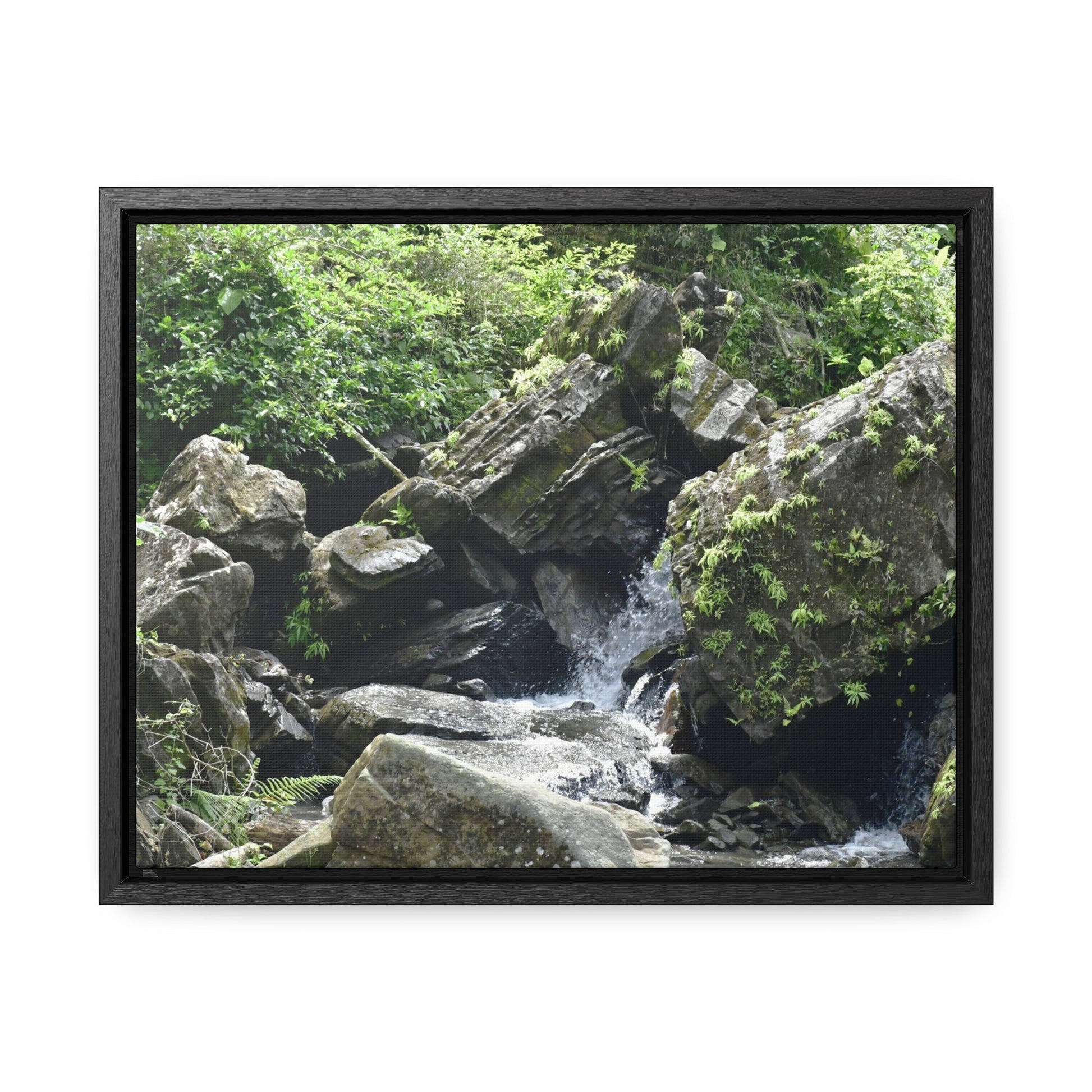 Rainforest Trails & Views - Gallery Canvas Wraps, Horizontal Frame - El Yunque National Forest - Puerto Rico - River near recreation area in El Yunque - Green Forest Home