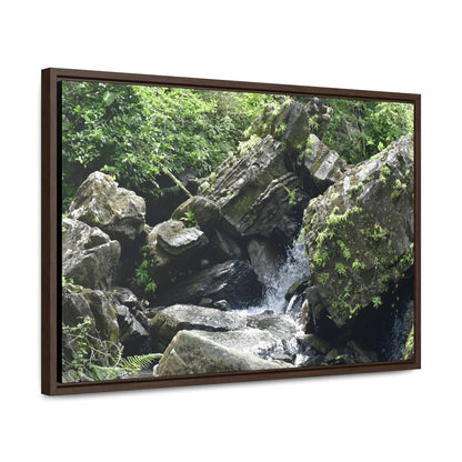 Rainforest Trails & Views - Gallery Canvas Wraps, Horizontal Frame - El Yunque National Forest - Puerto Rico - River near recreation area in El Yunque - Green Forest Home
