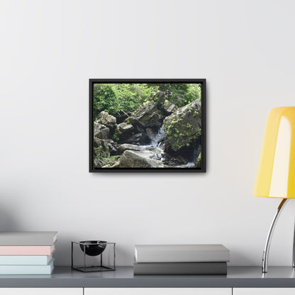 Rainforest Trails & Views - Gallery Canvas Wraps, Horizontal Frame - El Yunque National Forest - Puerto Rico - River near recreation area in El Yunque - Green Forest Home