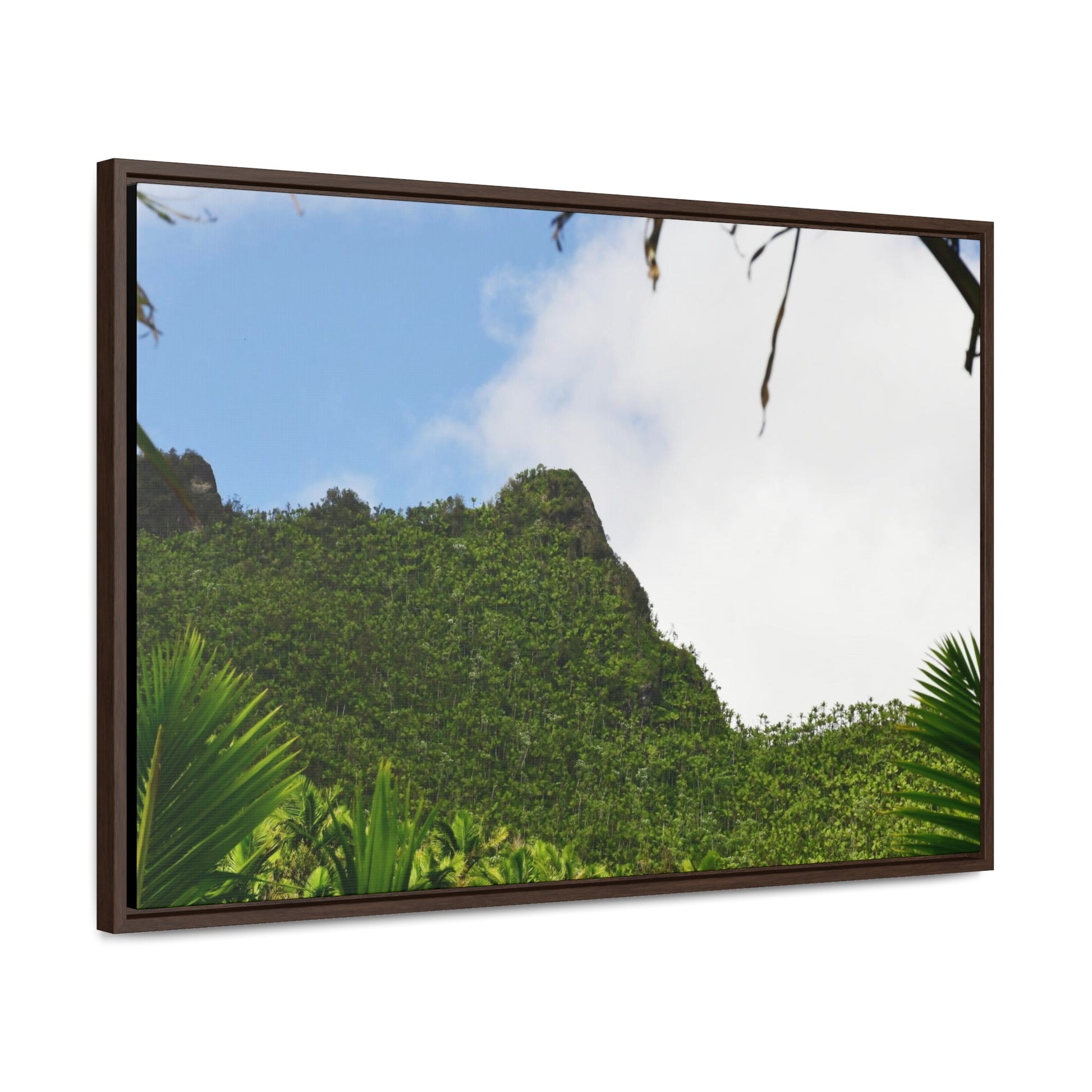 Rainforest Trails & Views - Gallery Canvas Wraps, Horizontal Frame - El Yunque National Forest - Puerto Rico - Side view of Three Peaks in recovery - Green Forest Home