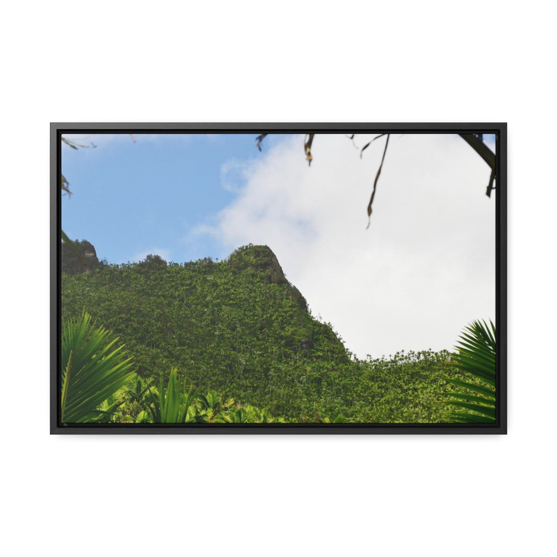 Rainforest Trails & Views - Gallery Canvas Wraps, Horizontal Frame - El Yunque National Forest - Puerto Rico - Side view of Three Peaks in recovery - Green Forest Home