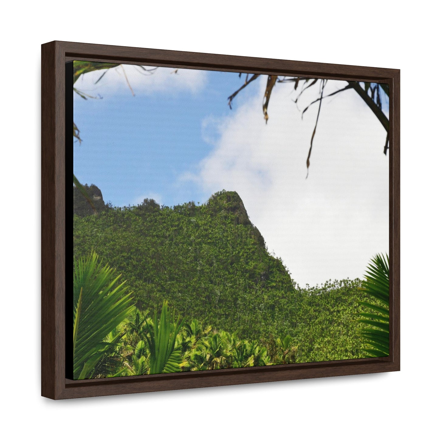 Rainforest Trails & Views - Gallery Canvas Wraps, Horizontal Frame - El Yunque National Forest - Puerto Rico - Side view of Three Peaks in recovery - Green Forest Home