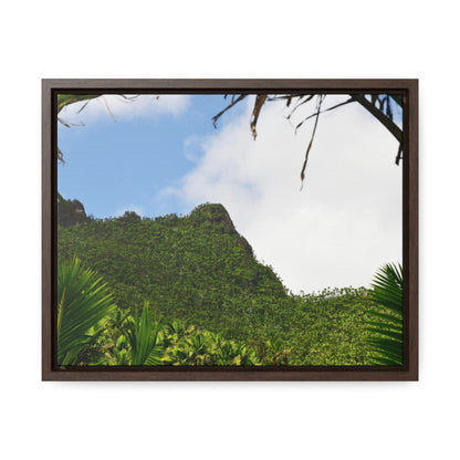 Rainforest Trails & Views - Gallery Canvas Wraps, Horizontal Frame - El Yunque National Forest - Puerto Rico - Side view of Three Peaks in recovery - Green Forest Home