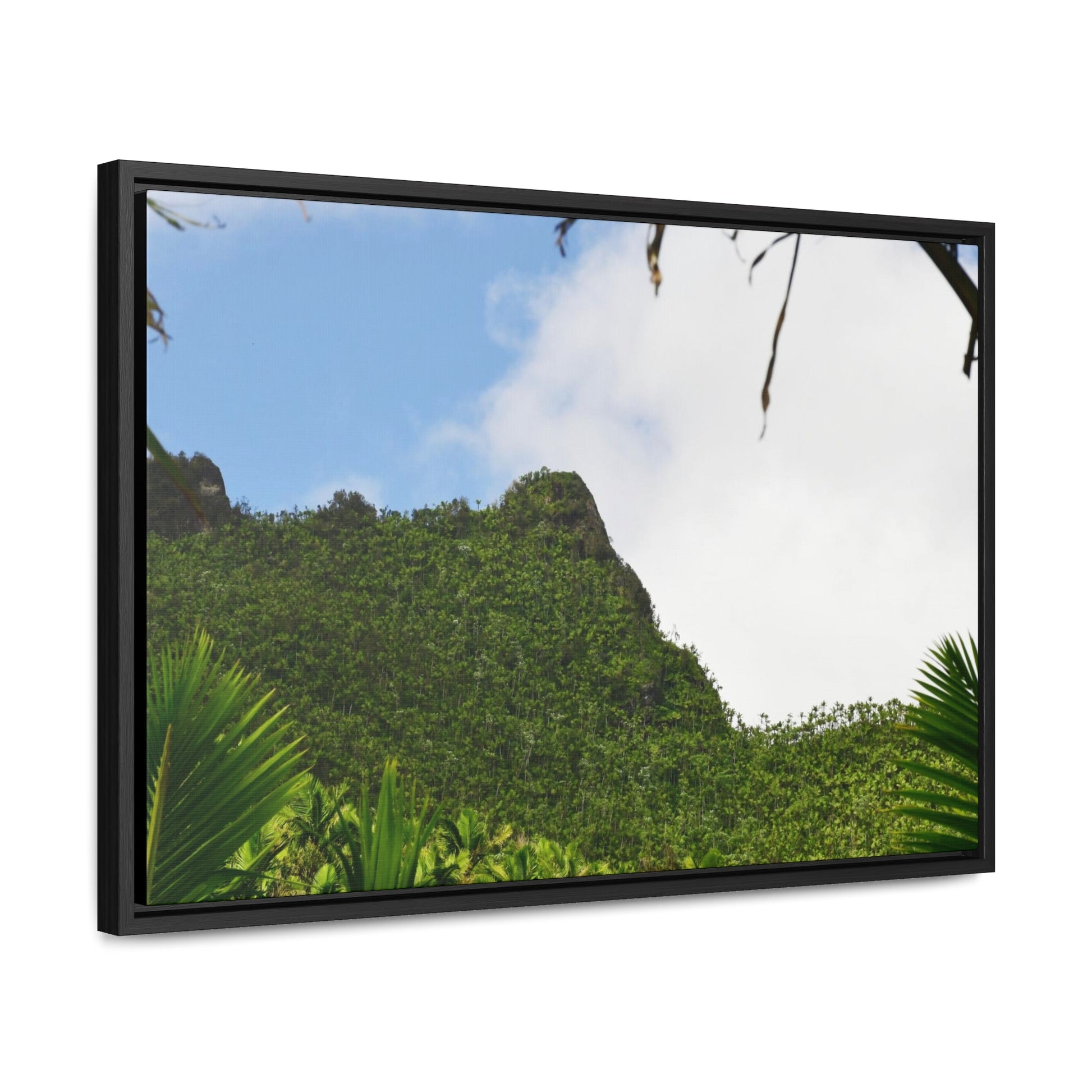 Rainforest Trails & Views - Gallery Canvas Wraps, Horizontal Frame - El Yunque National Forest - Puerto Rico - Side view of Three Peaks in recovery - Green Forest Home